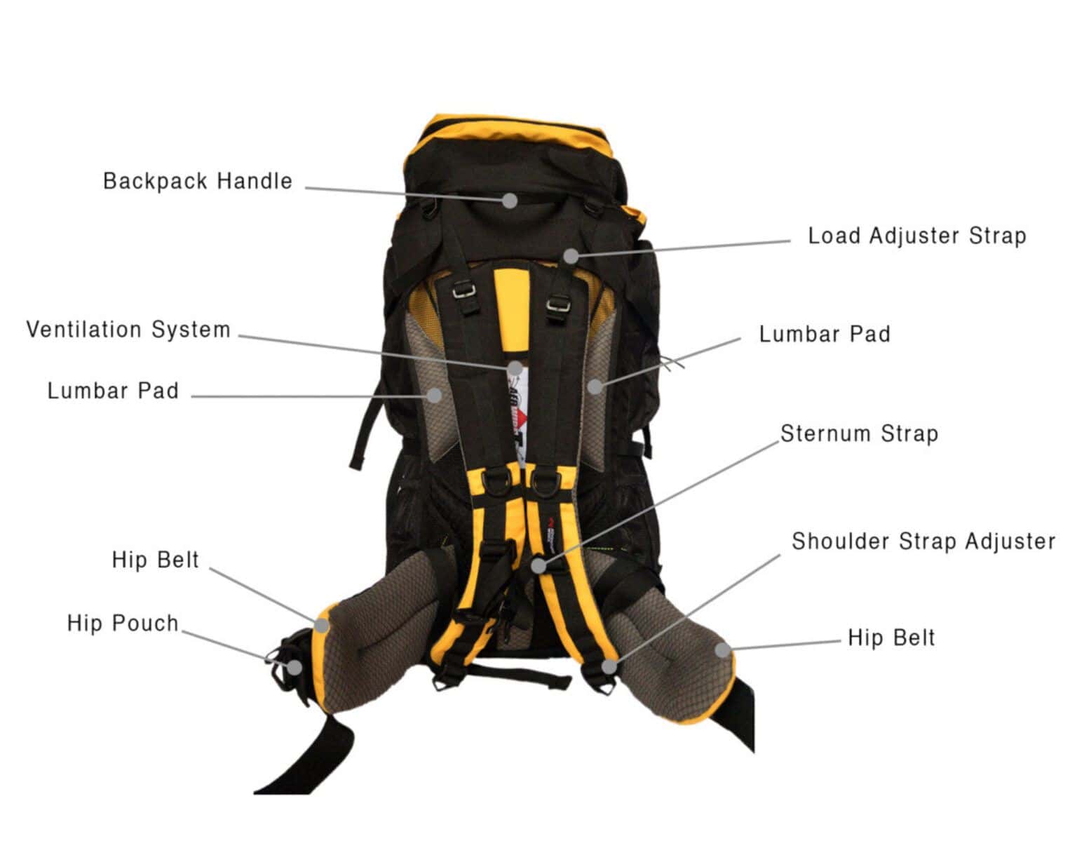 20 Best Backpacks For Back Pain [2023] Plus A Buyer's Guide For