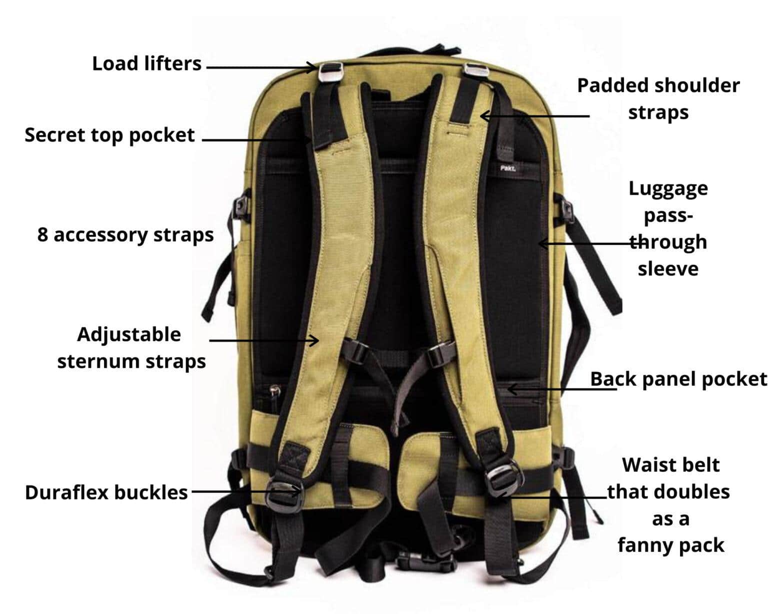 Pakt Travel Backpack Review Every Detail You Should Know About