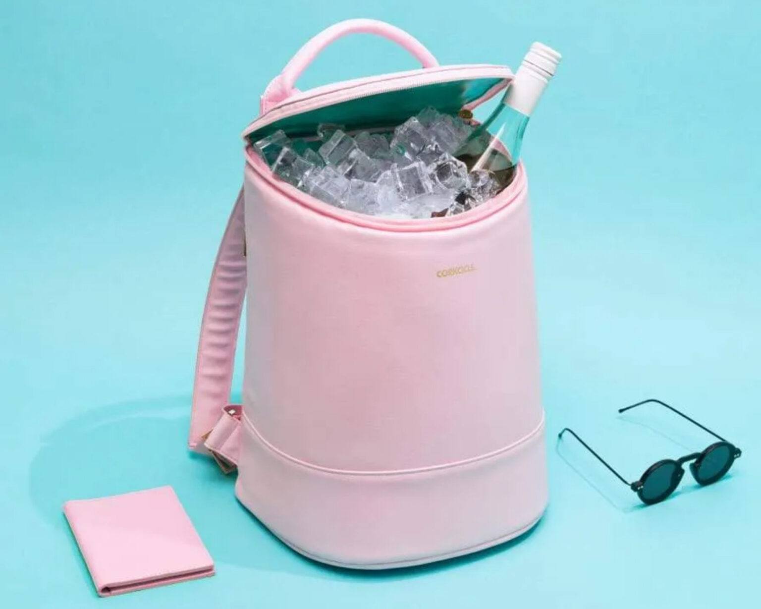 Top 11 Best Backpack Coolers for Camping, Road Trips, Beach Days & More