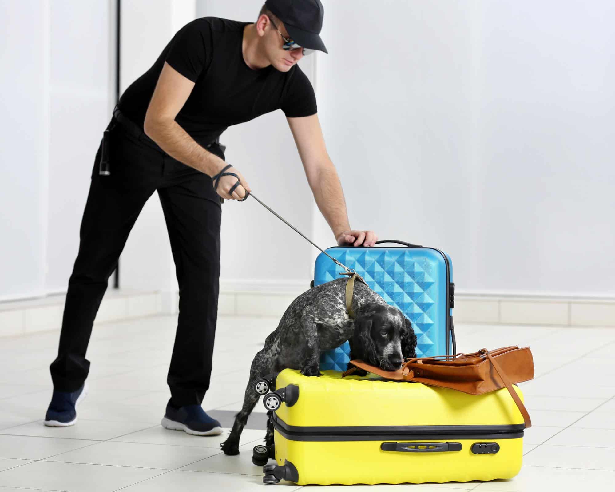 The Ultimate Guide To Checked Luggage (Over 20 Of Your Checked Luggage