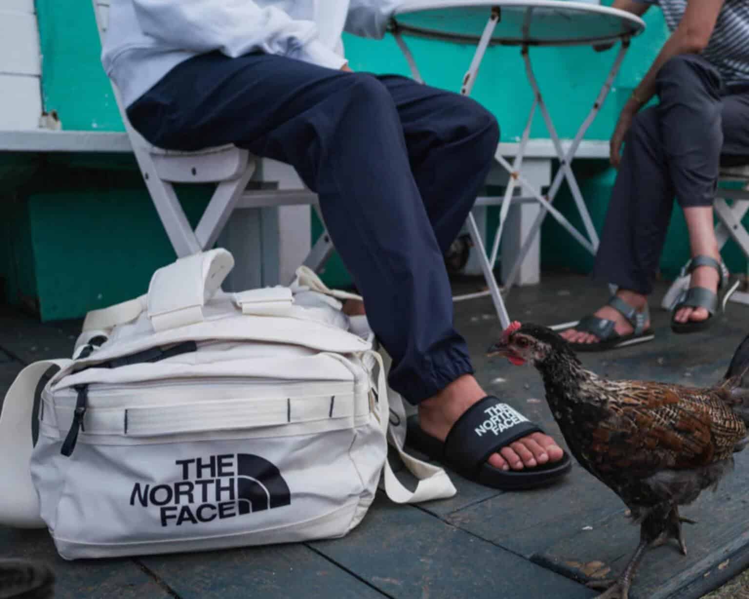 Are Patagonia Backpacks Good? Here’s All You Need To Know