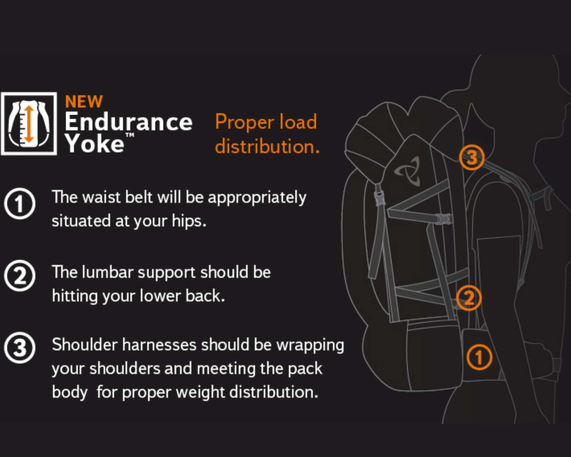 Are Mystery Ranch Backpacks Worth Their Price? 10 Things You Need To Know Travelccessories